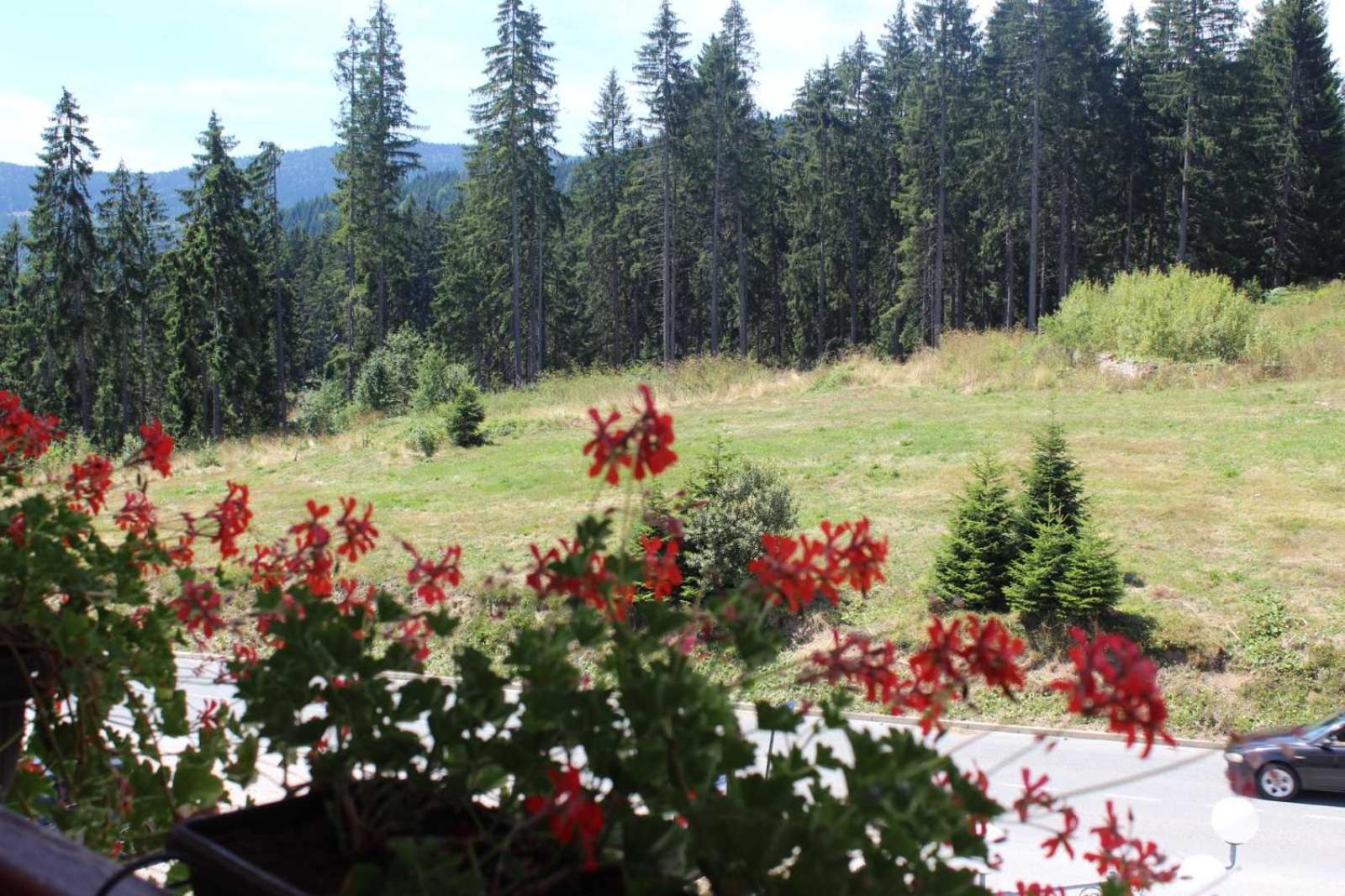 In Hotel Zlatar Ex Zlatarski Biseri Nova Varoš Eksteriør bilde